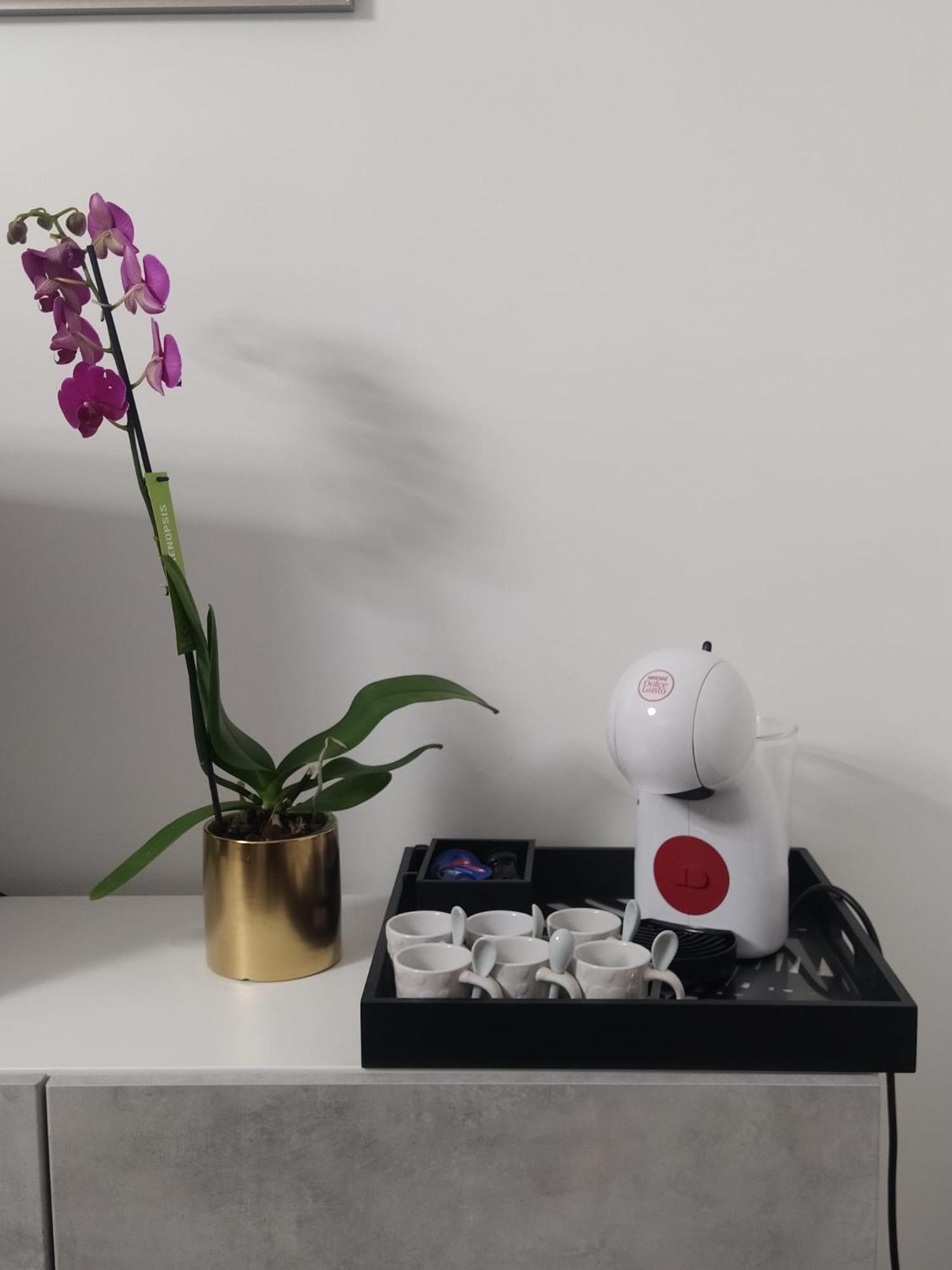 フィウミチーノLa Perla Del Mare - 9 Minutes From Fco Airport - Free Wifi E Netflixアパートメント エクステリア 写真